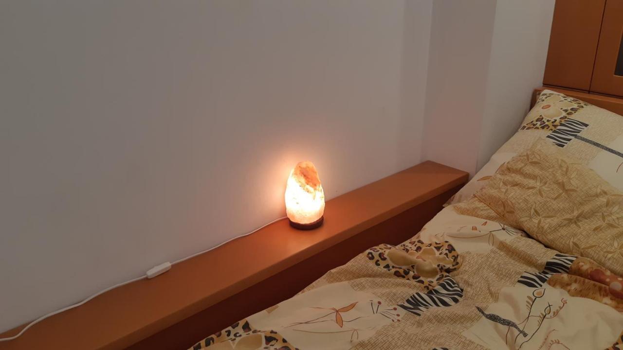 Apartament Zoya + Garaz Krynica Zdroj Dış mekan fotoğraf